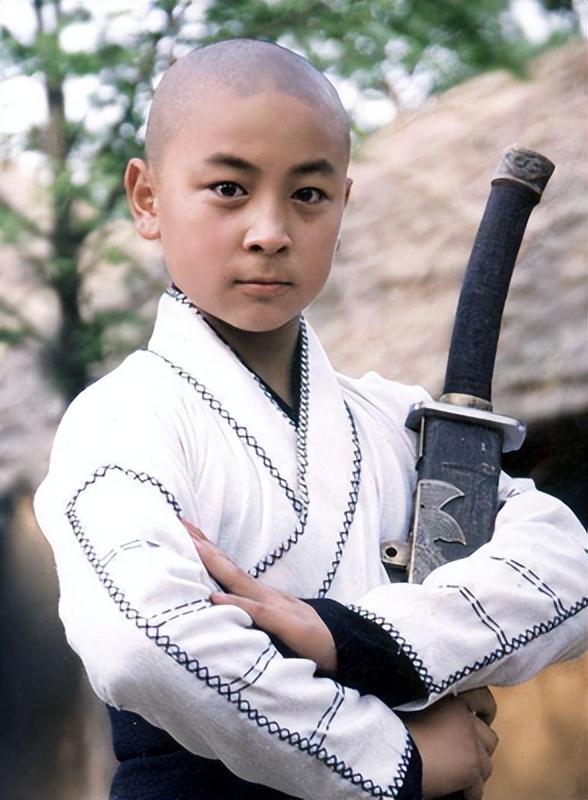 功夫片为何没落了？释小龙之后，再也没有优秀的武打童星了