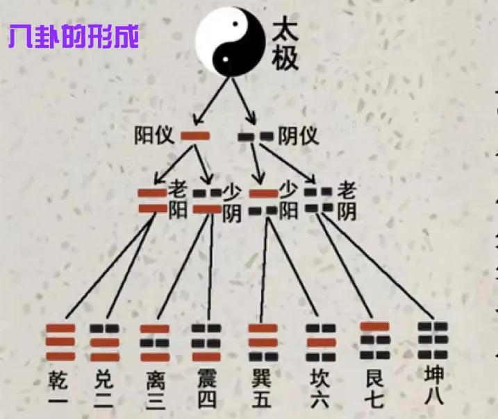 为什么是八个卦易经为什么是八个卦