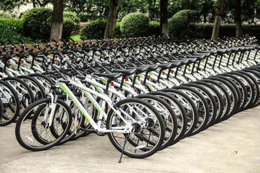 全职院士“坐镇”，成果打破国外垄断！湖北这所名校“霸气走红”