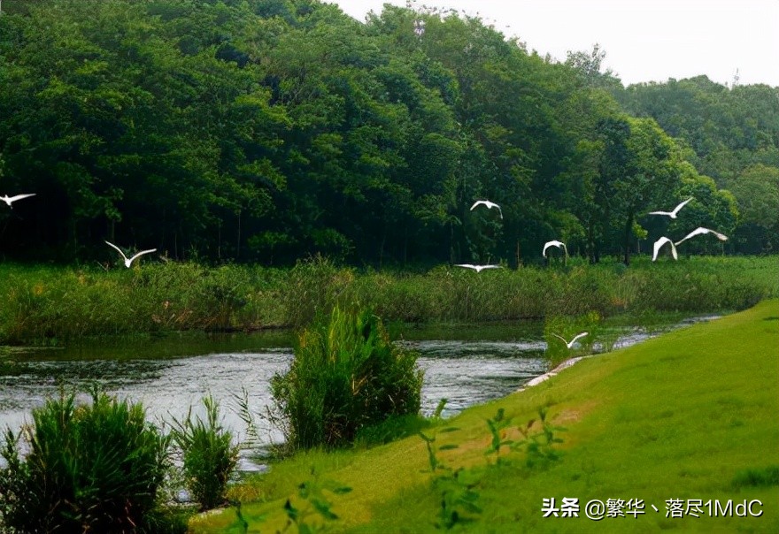 奉贤区（上海市辖区）