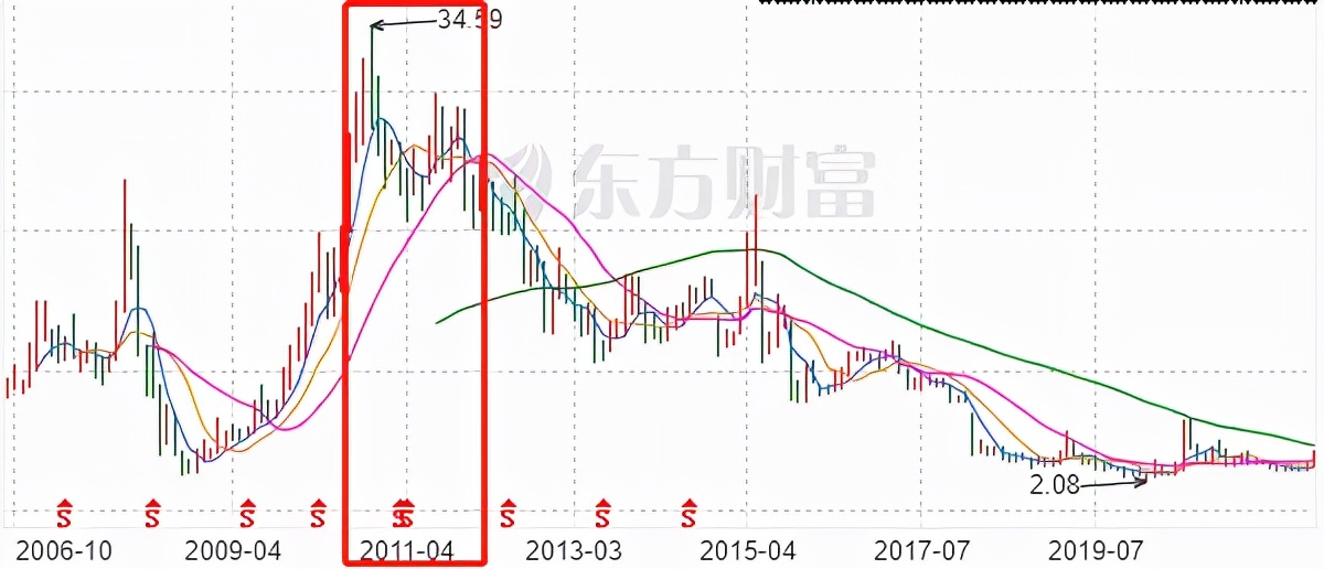 獐子岛扇贝，世界上智商最高的扇贝