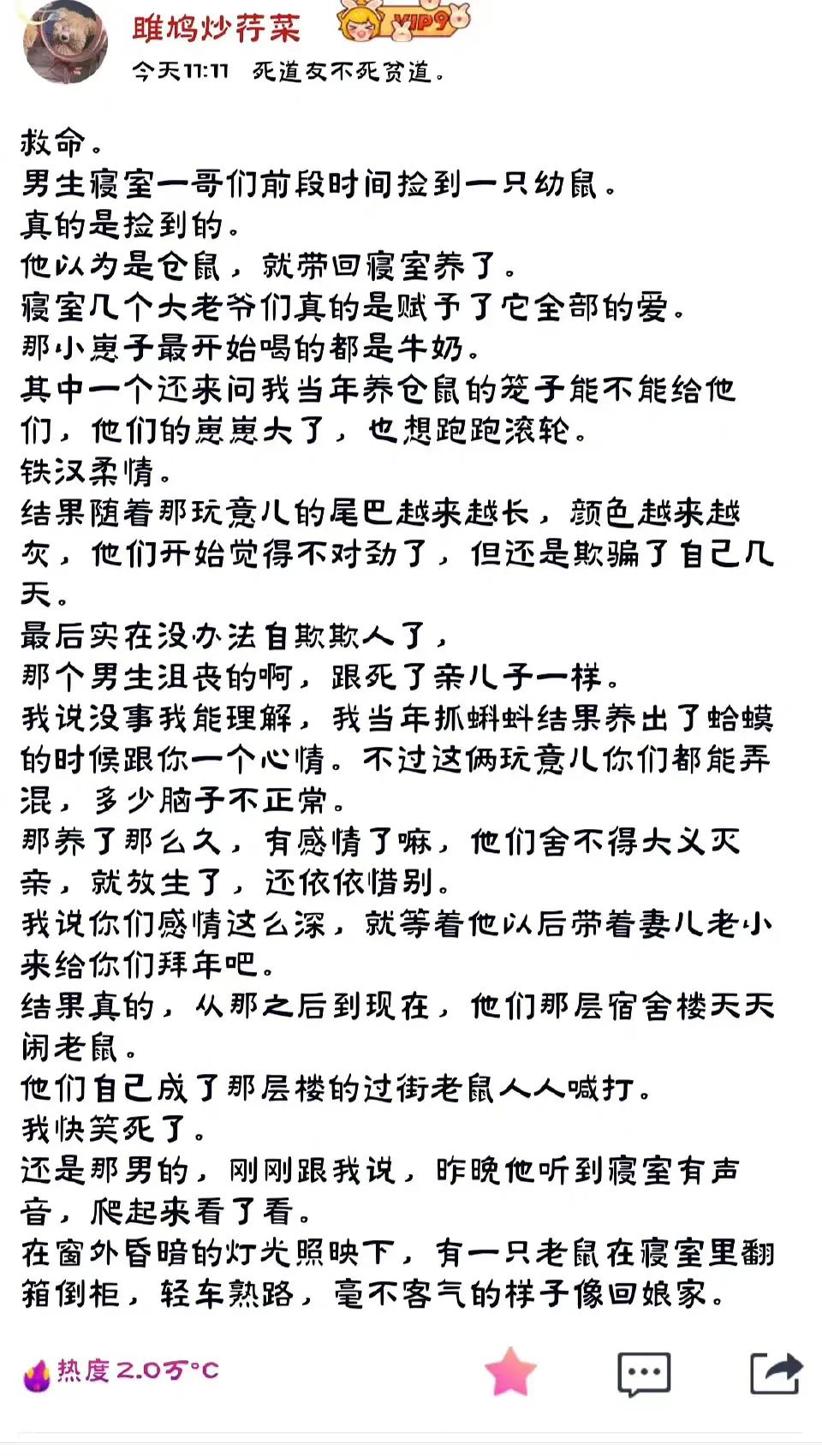 沙雕网友日常：文案撩得很追你又不肯，私信还叫我滚无情又残忍