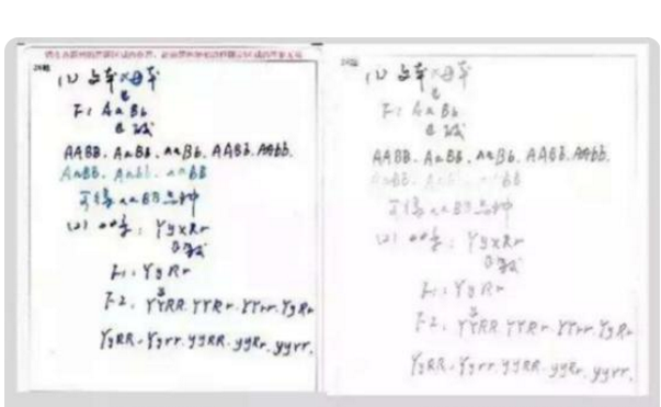 高考涂答题卡为何必须2B铅笔？看到扫描后效果对比，就容易理解了