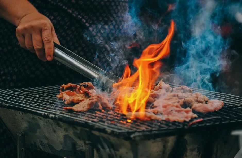 煮沸能把腐肉细菌杀死，但为什么腐烂的肉煮熟还是不能吃？