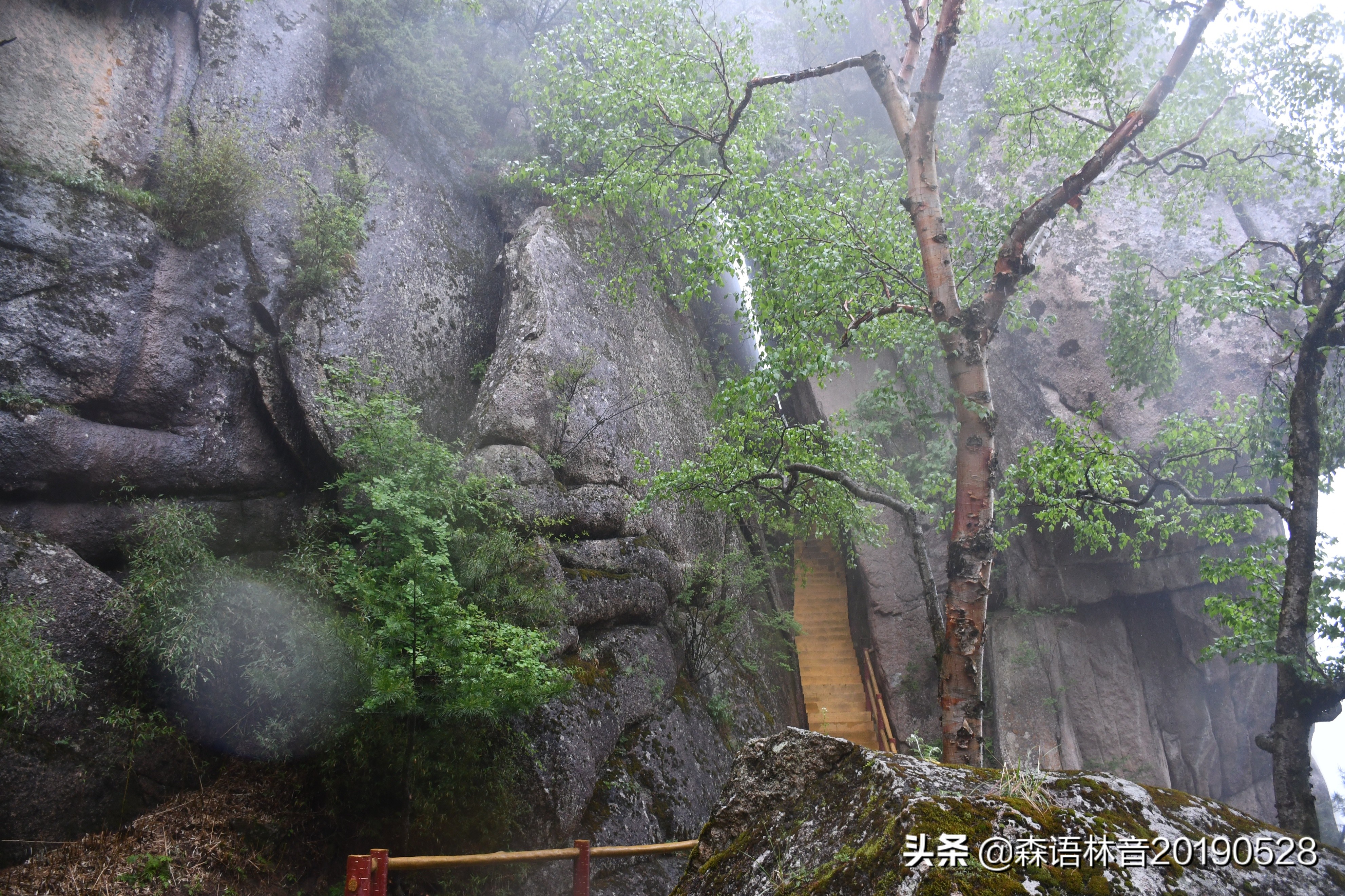 烟雨通天河 丹青水墨画——送你一个夏天“趣”通天河的理由