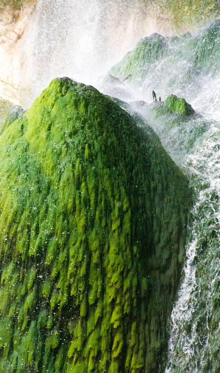 假如没有贵州，中国的春天就要凋零一半