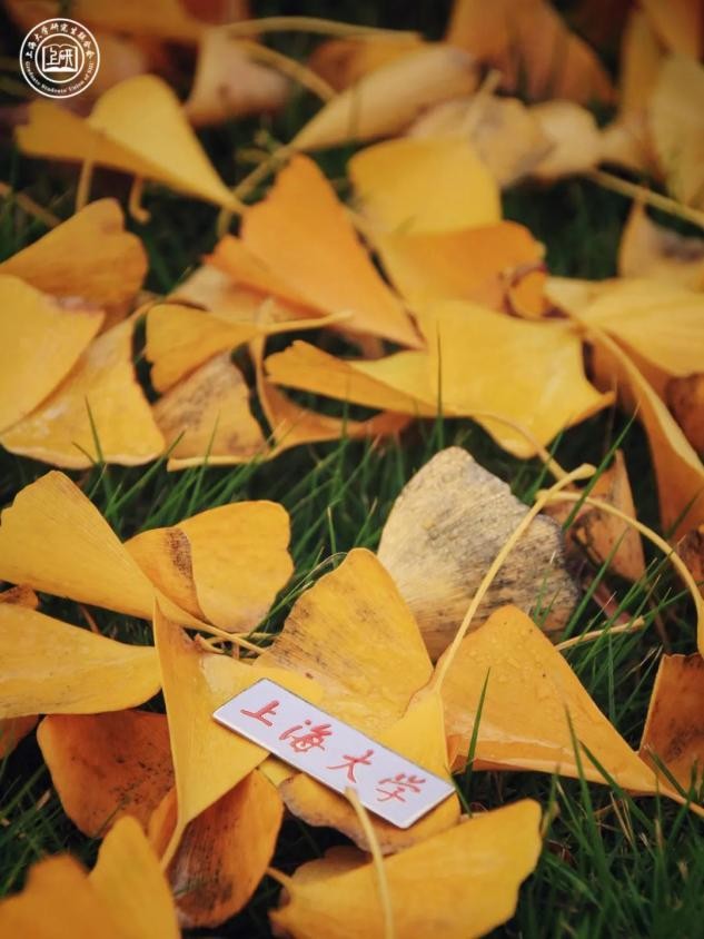 推开“三扇窗”，揭开上海大学的绝佳美景！每一帧都是画，美出新高度！