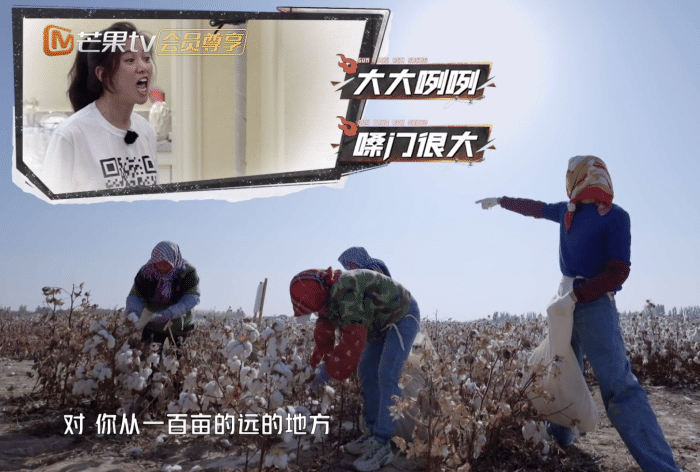 张智霖庆祝结婚21周年，将袁咏仪紧搂怀中，相爱超30年却未办婚礼