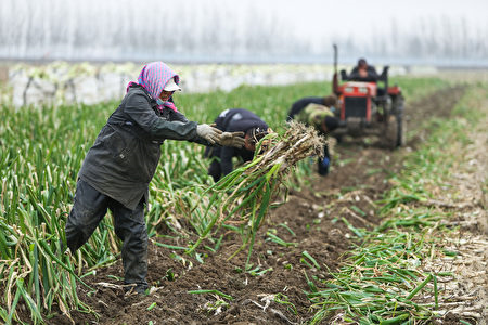 高层定调！中国县城迎来大基建？扭转颓势！中国经济迎来新发展？