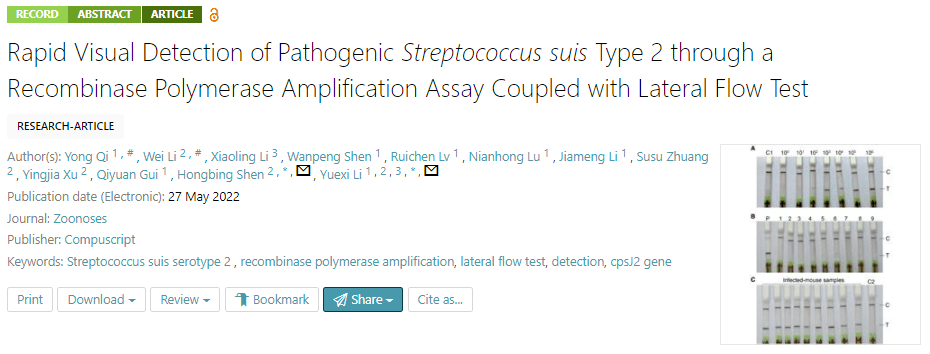 重组酶聚合酶恒温扩增的高致病性2型猪链球菌病原体可视化研究
