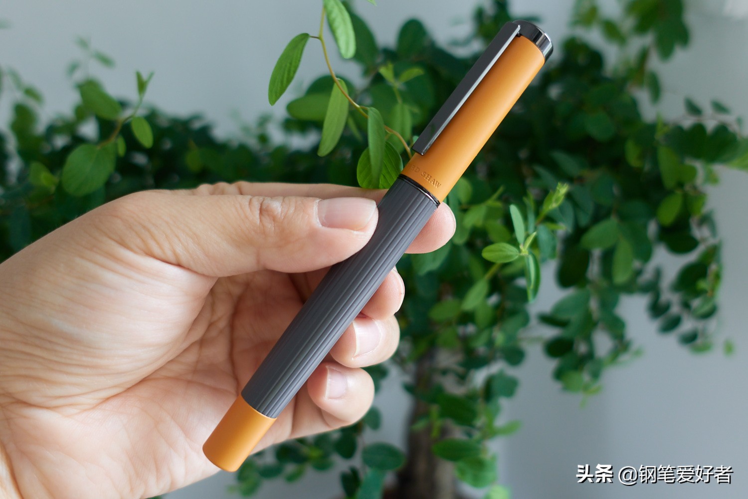 国产钢笔发展的新路子？萧伯纳灯塔系列钢笔评测及国产钢笔发展