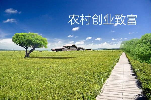 农民返乡做什么生意好？2022年适合农村的小生意