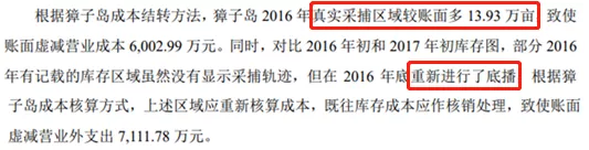 獐子岛扇贝，世界上智商最高的扇贝