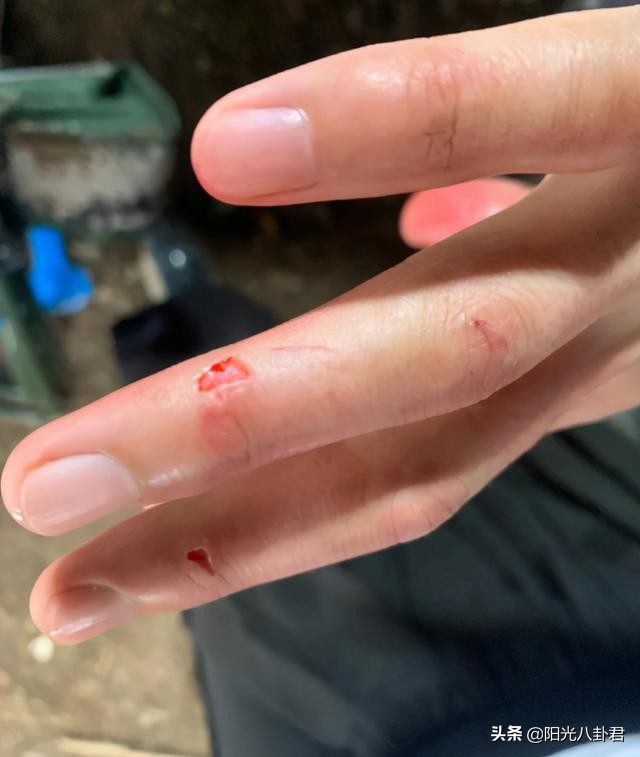 男星内卷起来差距有多大？中年人老当益壮，年轻人却一个比一个虚