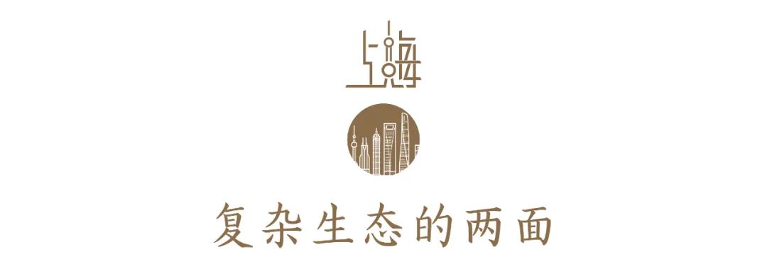 ������̬���ƻ����Ϻ�����Ĳ������Ϻ�