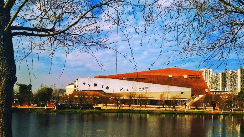 这些“黑马”高校的美术类专业，成为中等生逆袭的热门目标