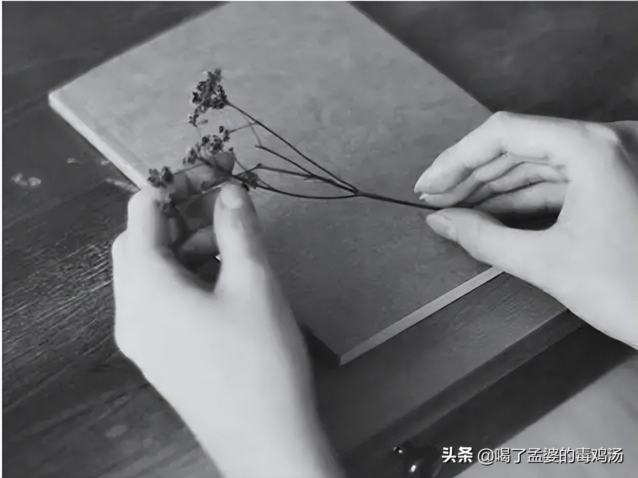 工作后才明白的道理十个道理，现实又扎心