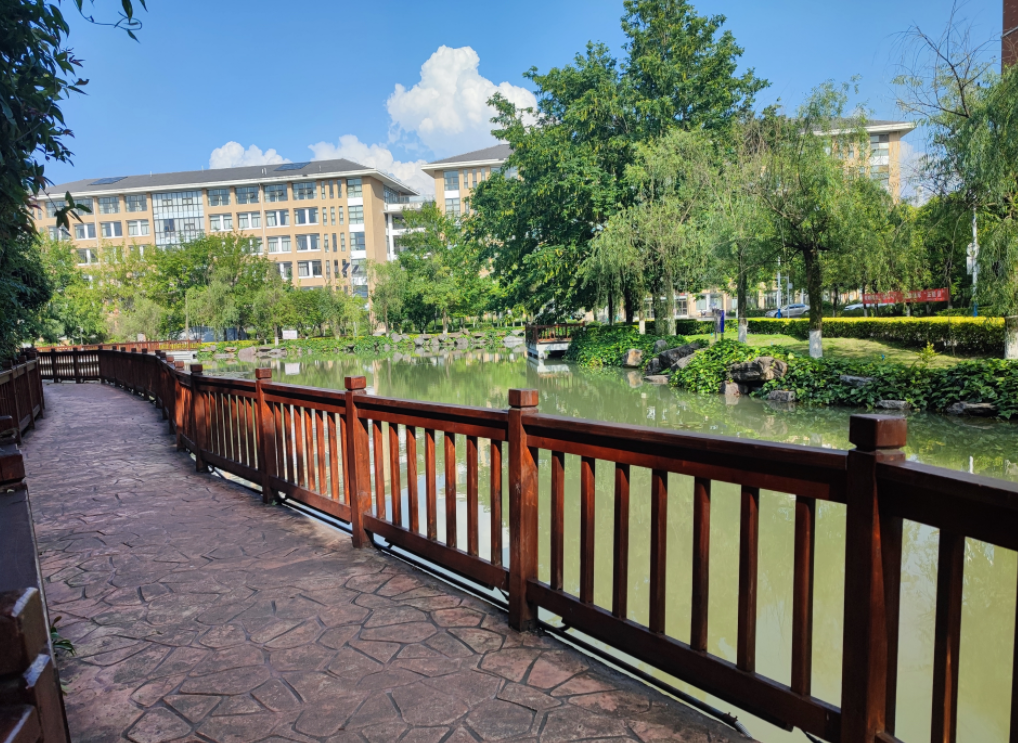 分数不高想读临床医学？这4所大学可以考虑，口碑好，就业也不错