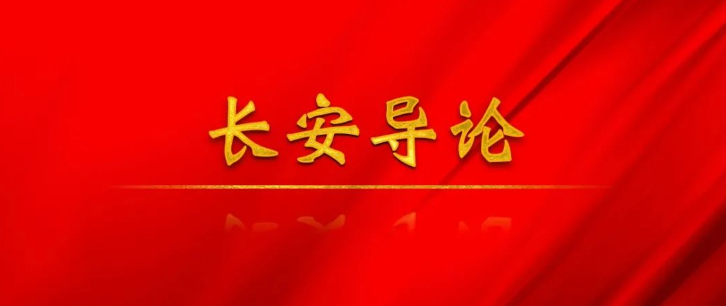 钟政声：让人民群众在市域社会治理现代化中感受到法治的强大力量