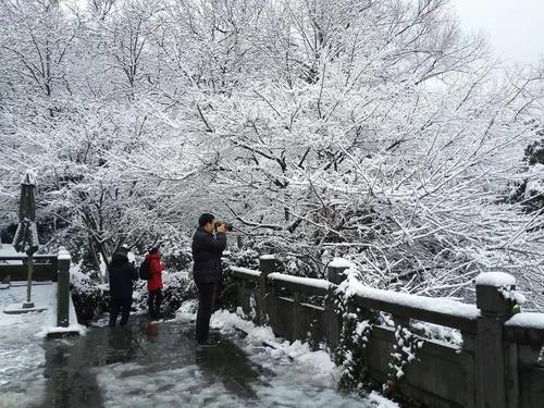 七绝 西湖雪景