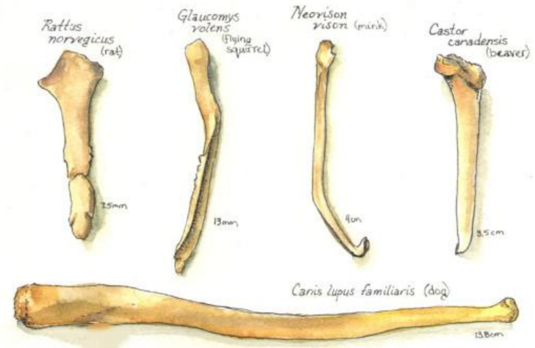 ����Ϊʲô��ʧȥ�������ǡ��������ǽ������ƣ����ǵ����ˣ�