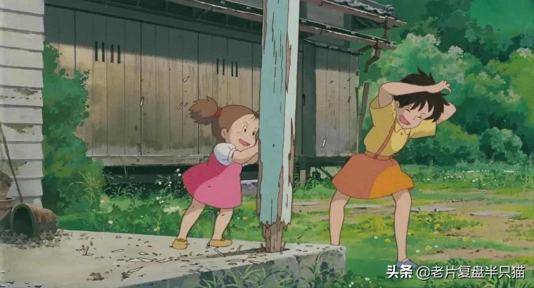 为什么大人们看不见《龙猫》?快乐的背后是一个残酷的世界