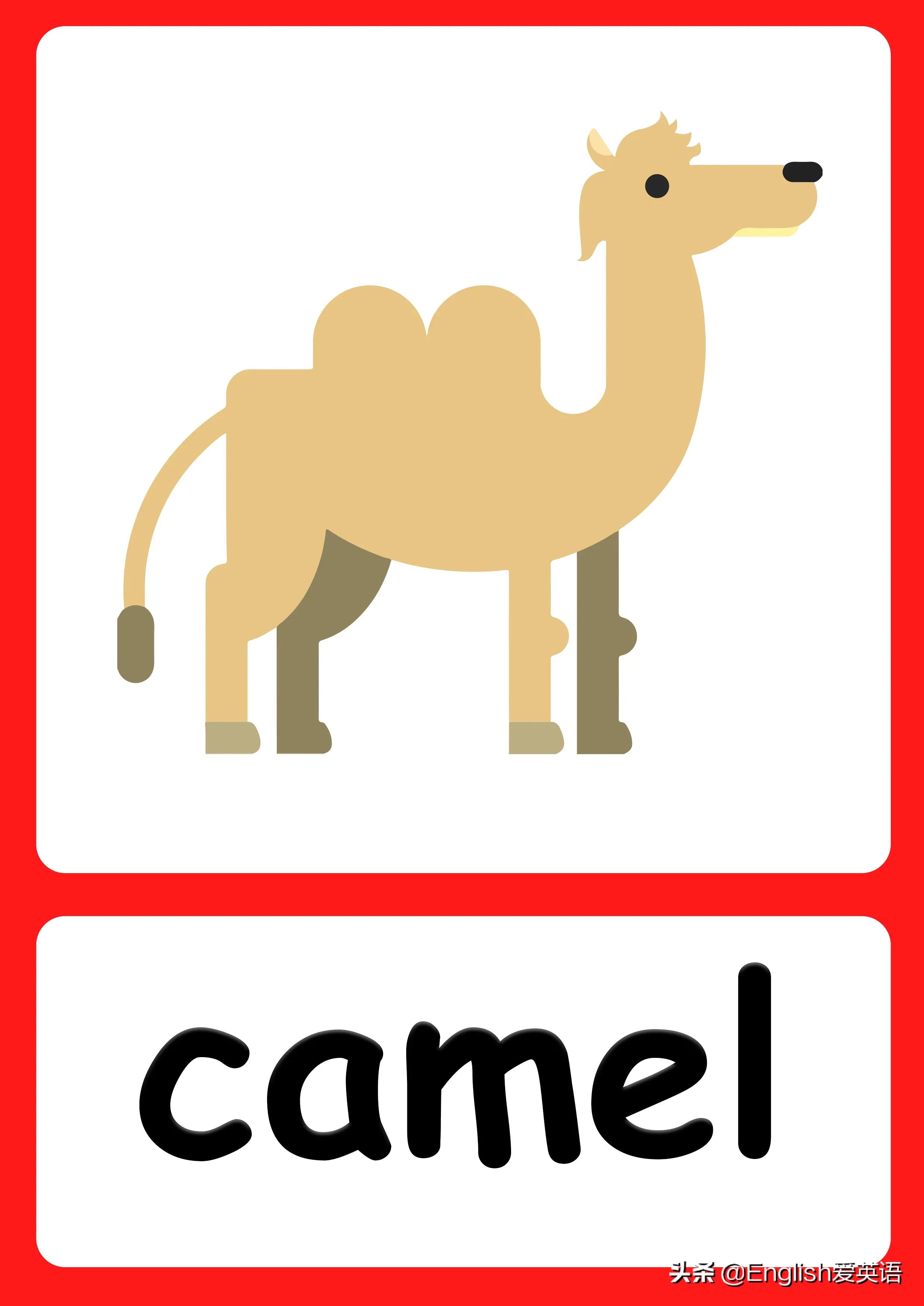 大人都喜欢的英语启蒙视频 上百个视频81个文件 附Flashcards可打印