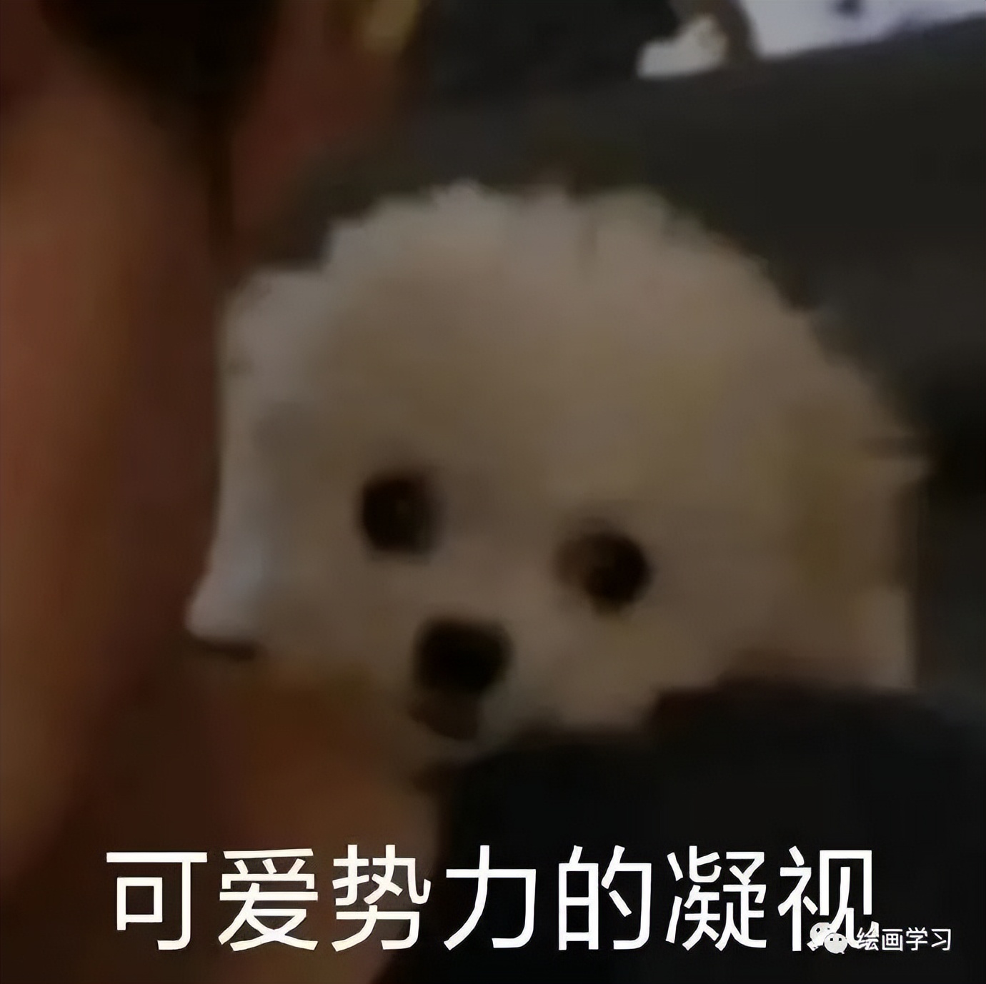 插画师培训学费多少（没有画画基础可以学插画吗）