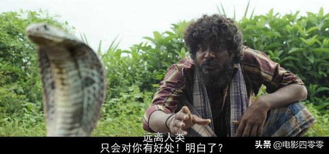 2021年度最值得观看的电影《杰伊·比姆》