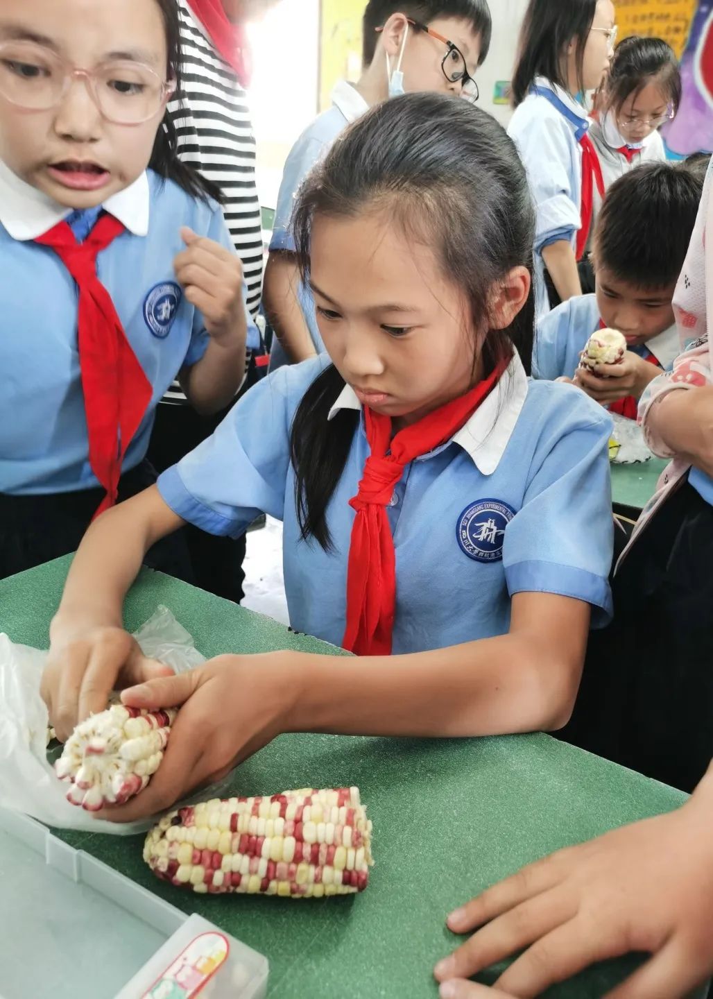 发扬劳动精神 争做先锋少年｜记川大西航港实小劳动技能大赛活动