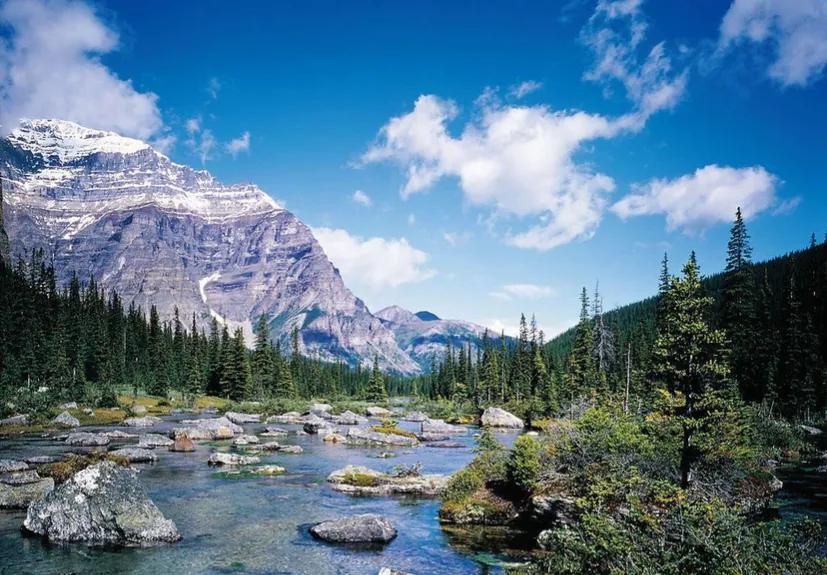 拼搏奋斗正能量的句子，哭没用，眼泪也是咸的，不是甜的