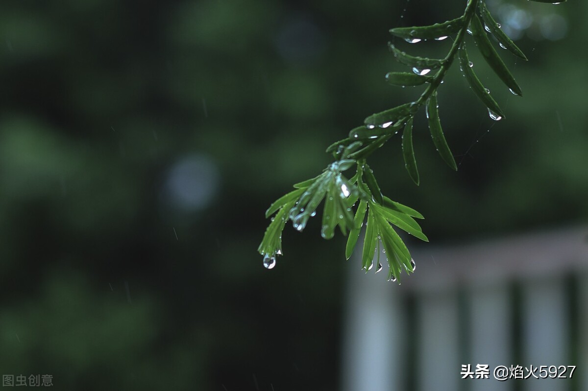 描写夏天的神仙开头，如果能这样写，作文离高分就不远了