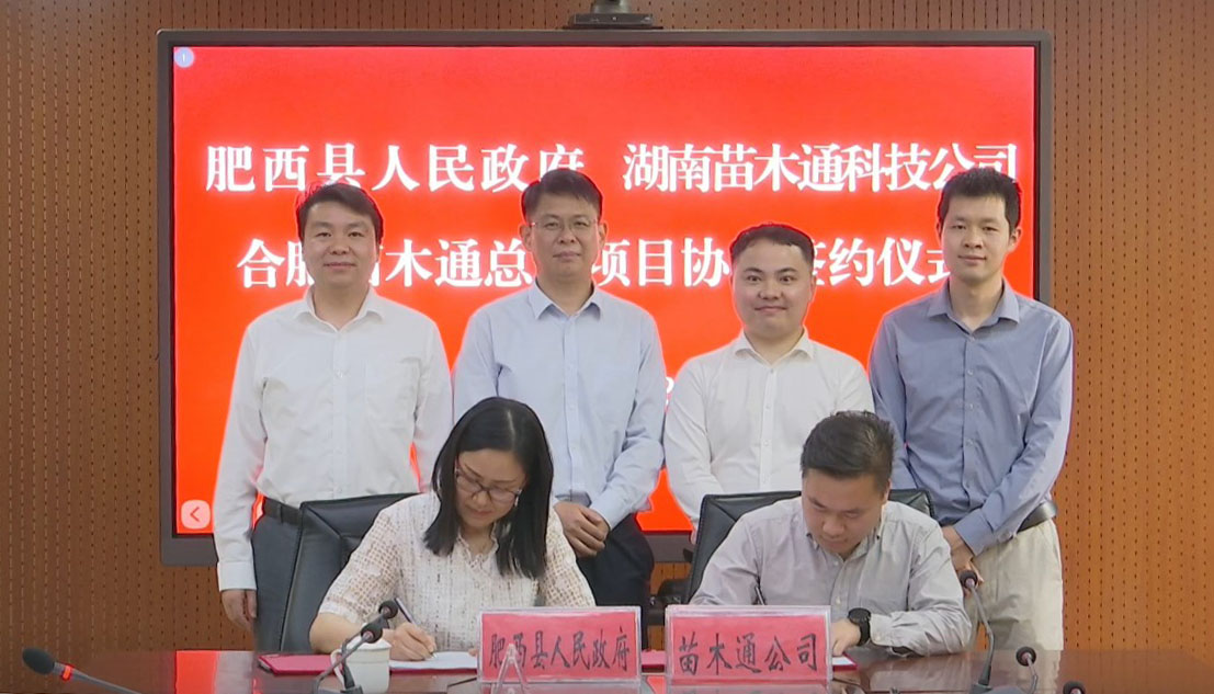 重磅！苗木通总部落户肥西，携手肥西县打造全国苗木线上交易平台