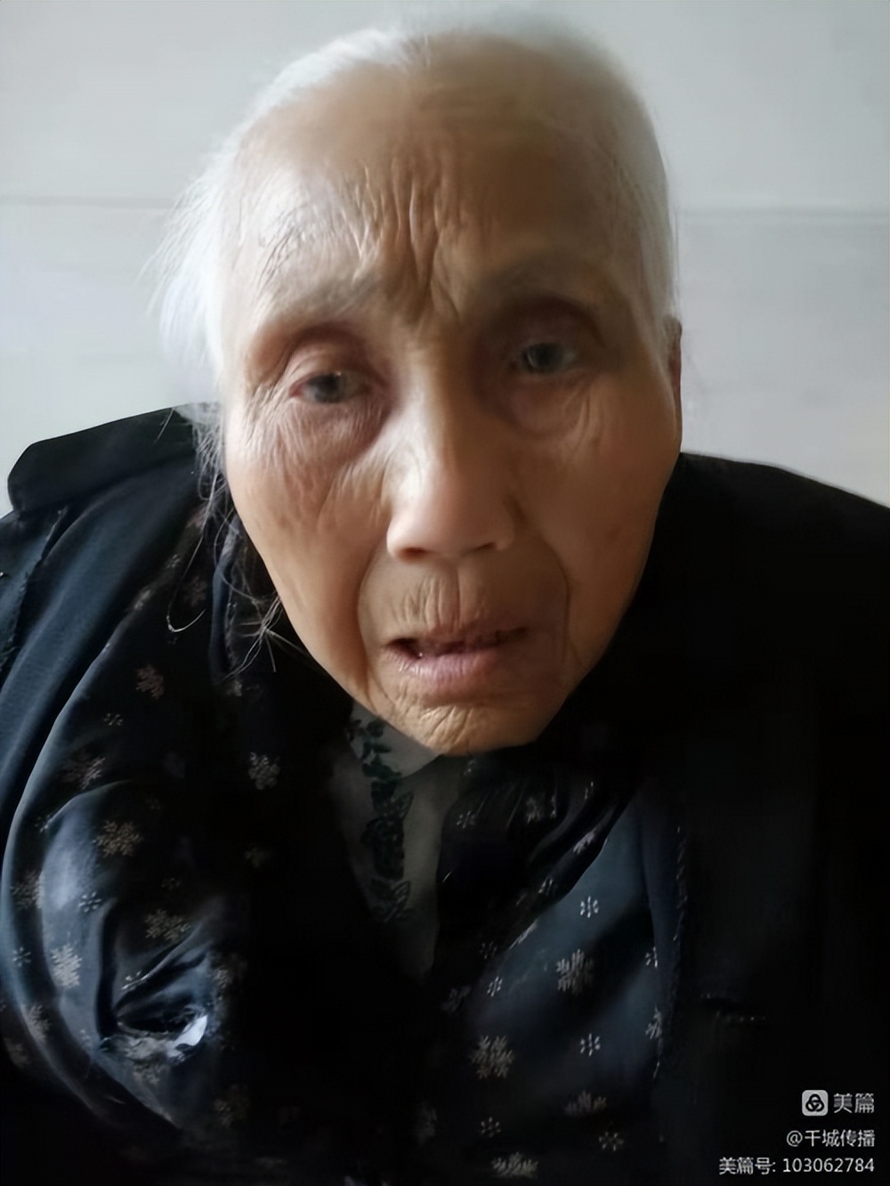 劉庭華：孝路長旅赤子情