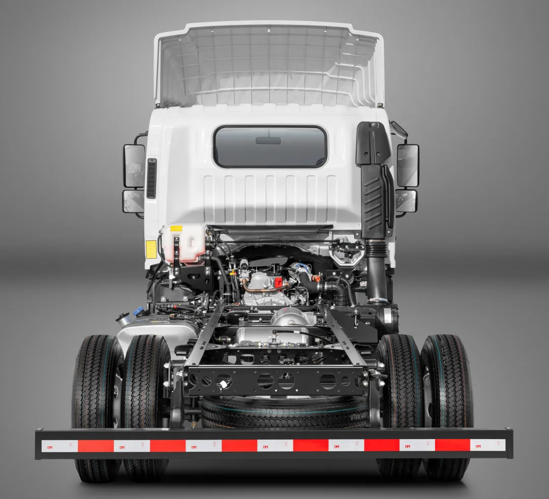 �����������ѡ��1��Ʒ�� 1�ŷ���˧�����ʿʵ����Ȧ