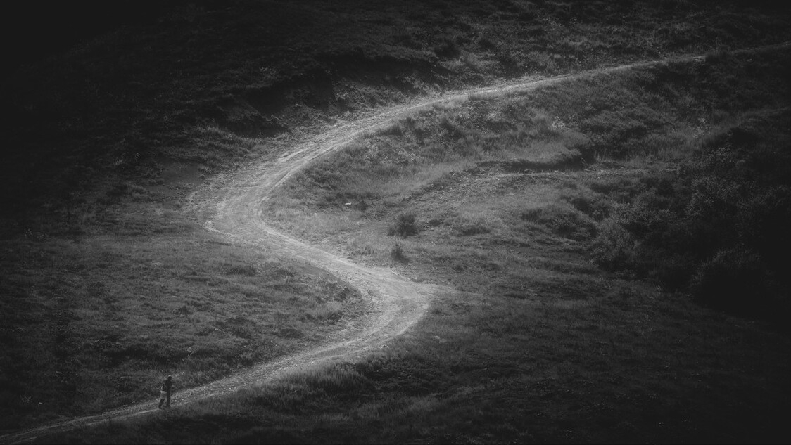 2009年，江西“高考状元”黎力抢银行被判10年，服刑后又考上985