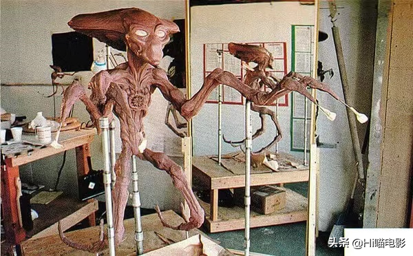 评分最高的灾难电影TOP7！《后天》未进前三，你最喜欢哪一部？