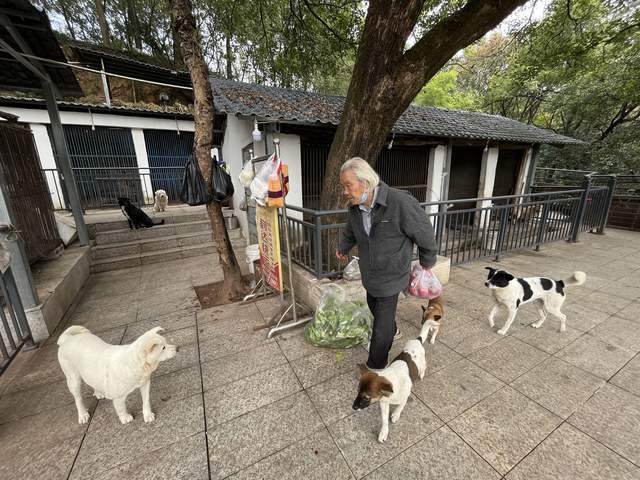 欠债200万独自办动物园32年，81岁的罗应玖盼来新消息：恩施当地相关部门回应，正在想办法解决