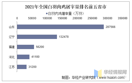 2021年中国白羽肉鸡产业现状及建议分析，产业地位亟需提高「图」