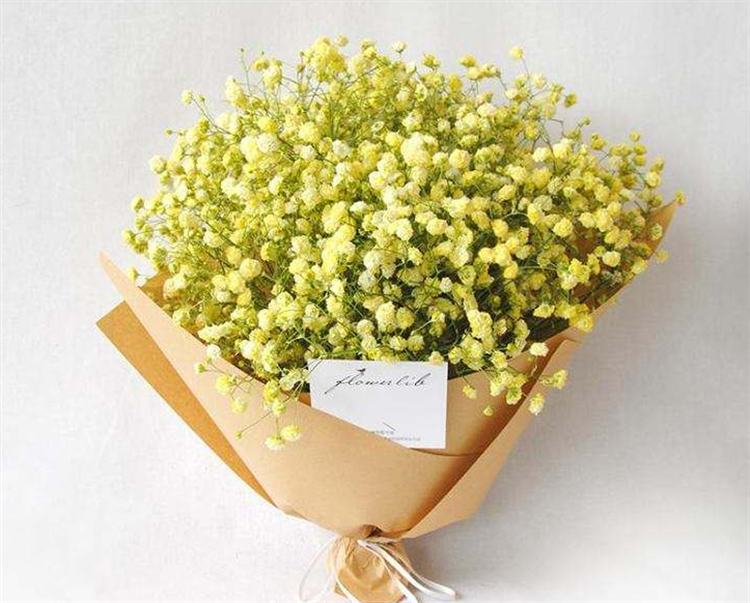 盘点：6种满天星颜色的寓意，最后一种颜色的满天星，生活中少见