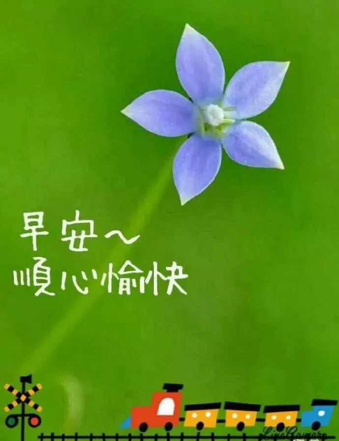 早安祝您安康快乐，愿你如诗，未来可期