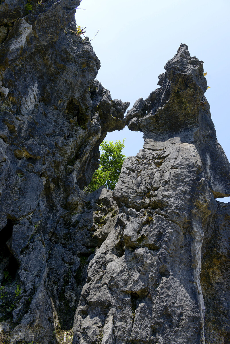 假如没有贵州，中国的春天就要凋零一半