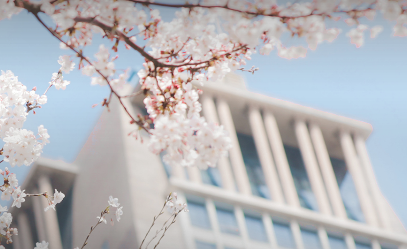 中国排名前十的大学：清北占据前二，武大排第九！附学科评估