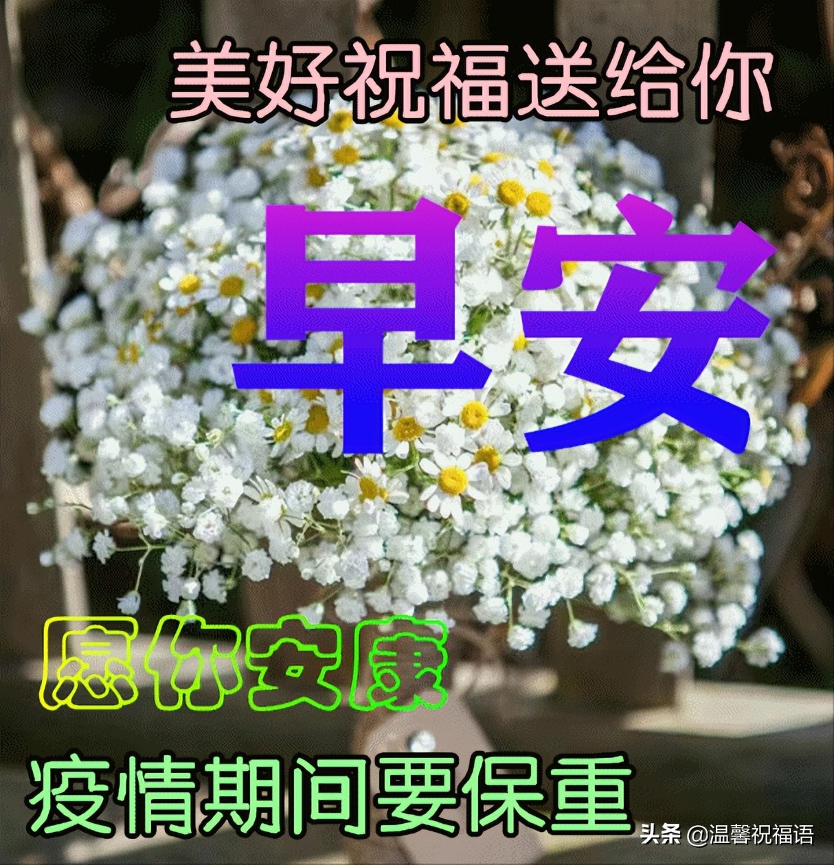 祝身体健康的八字短句（关心朋友早安祝福美句）