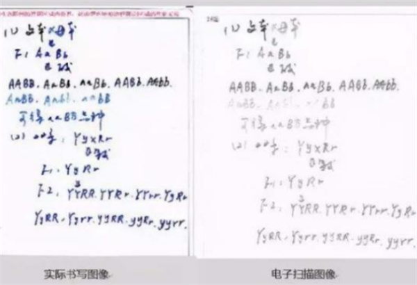 高考为什么用“2B铅笔”涂卡？看到电脑呈现试卷后：原来如此