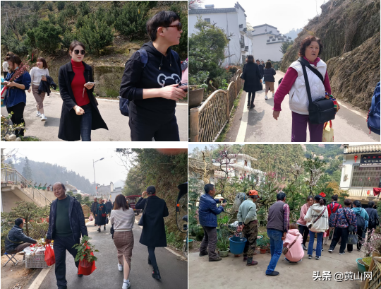 飞阅徽州之六：春风十里，洪岭最美