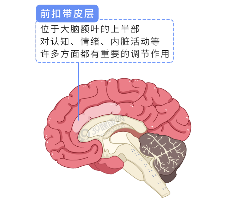 女生是如何靠第六感，发现男朋友出轨的？最科学的解释来了