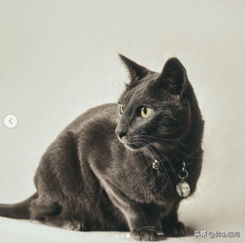 关于《社内相亲》金旻奎的6件事！游泳选手出身、私下是猫奴