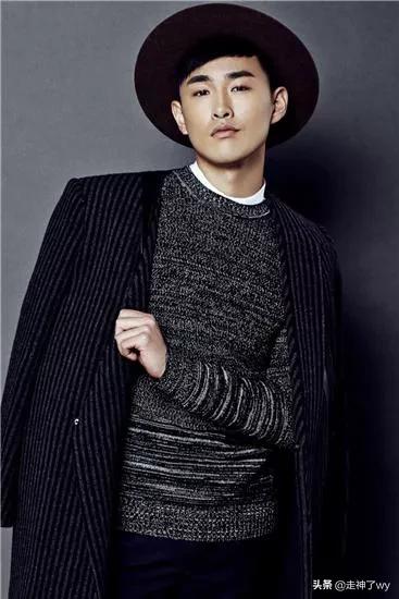 内地影视剧男演员王彦霖