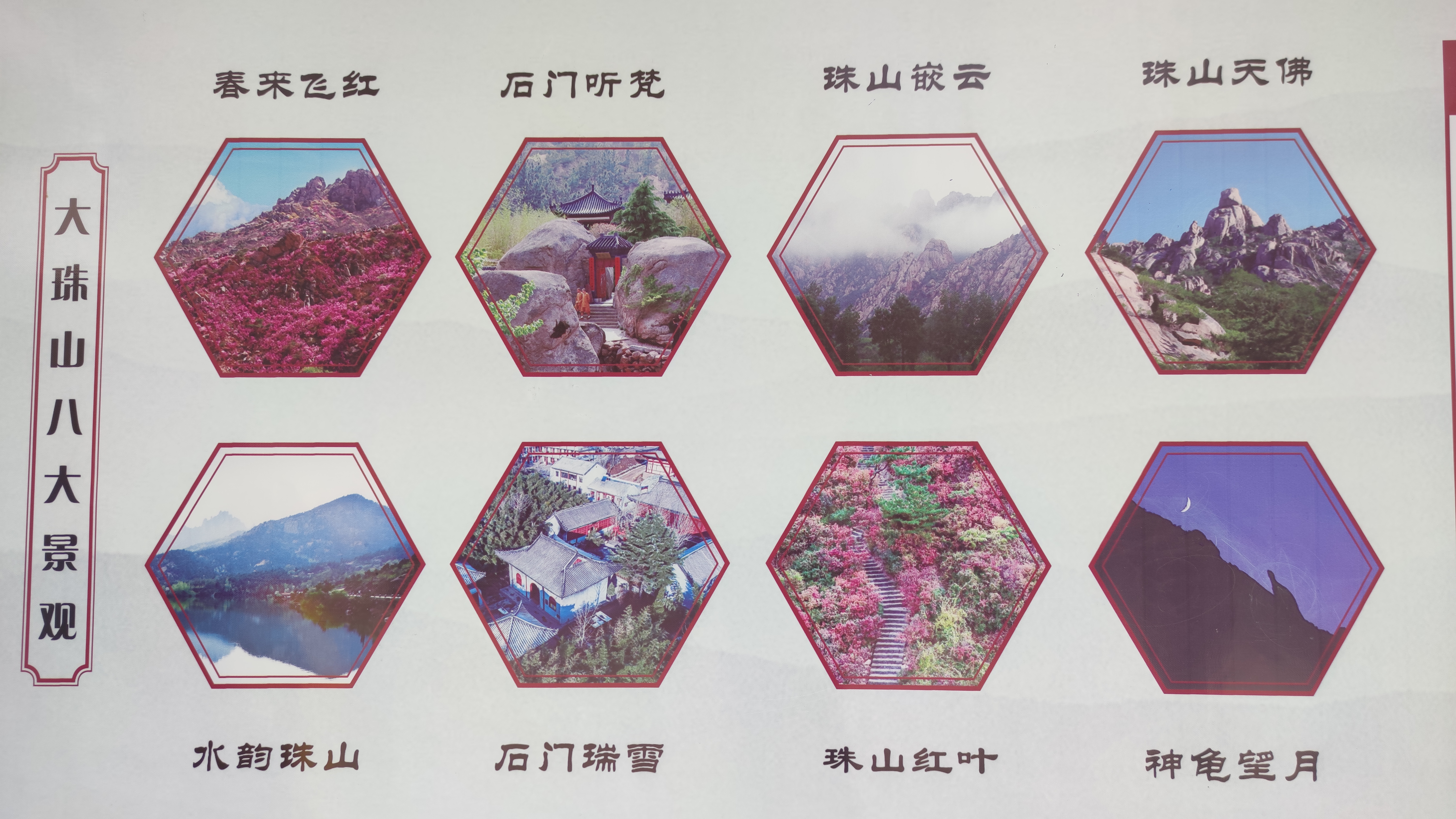 早春，大珠山探寻万亩杜鹃花开爬山游记